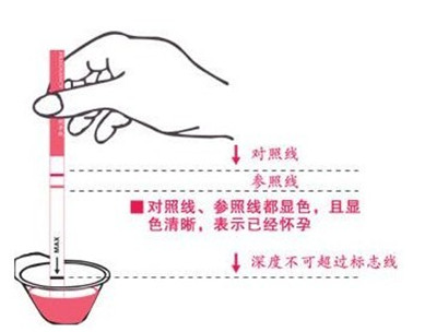 早孕试纸测试示意图