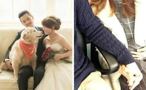 女星弯弯宣布怀孕与老公在一起照片