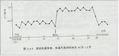 女性排卵日体温变化示意图