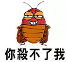 小强