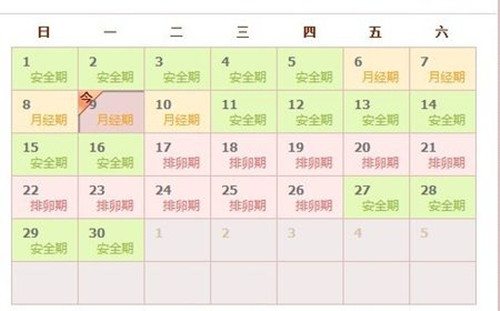 找准排卵期实现快速怀孕