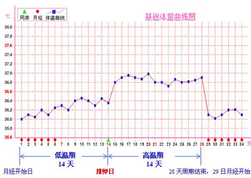 排卵期温度曲线图