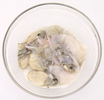 牡蛎豆腐羹制作步骤四抓腌