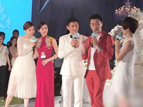 刘诗诗吴奇隆大婚豪言将生五子