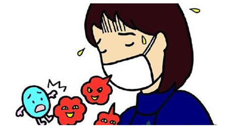 单纯孢疹病毒致畸示意图