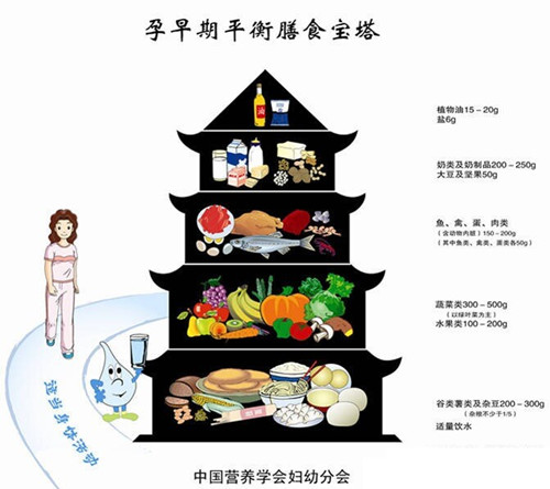 怀孕初期饮食结构